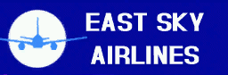 The airlines logo circa 1986, GTA Vice City.